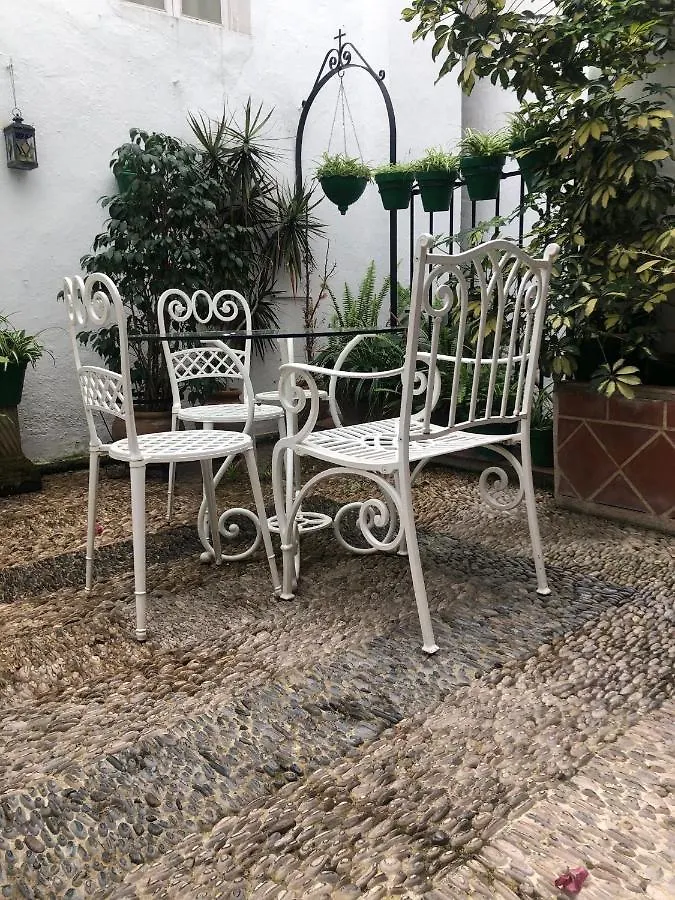 Hotel Hospederia Luis de Góngora Córdoba Pensión